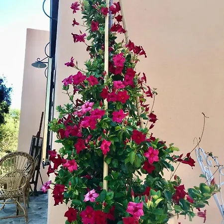 לינה וארוחת בוקר Le 25 Tartarughe סנטה טרזה גאיורה