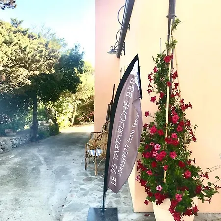 Bed & Breakfast Le 25 Tartarughe Santa Teresa Gallura
