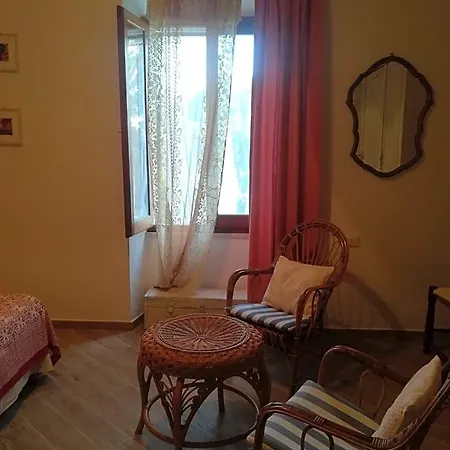 Le 25 Tartarughe 3*