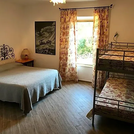 Le 25 Tartarughe 3*