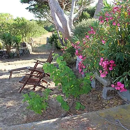 Le 25 Tartarughe Frühstückspension Santa Teresa Gallura
