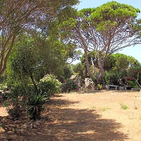 Le 25 Tartarughe Bed and Breakfast