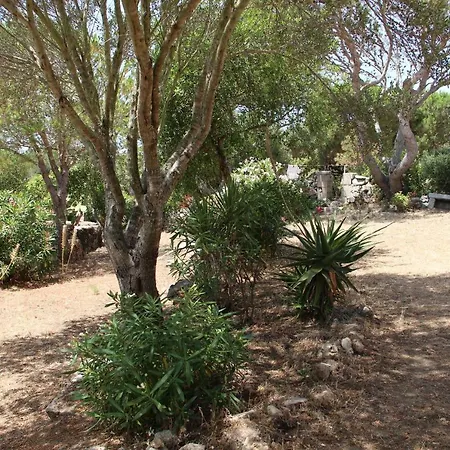Bed & Breakfast Le 25 Tartarughe *