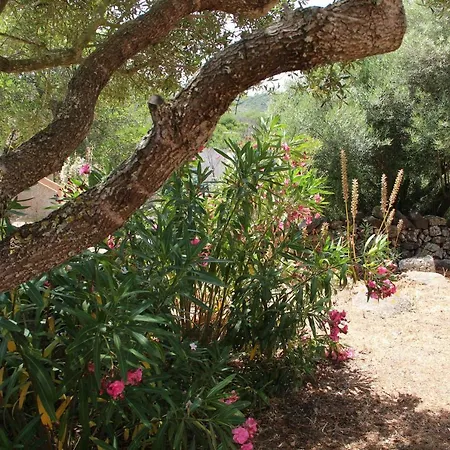 Le 25 Tartarughe Bed & Breakfast Santa Teresa Gallura