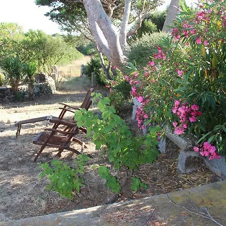 Le 25 Tartarughe * Santa Teresa Gallura